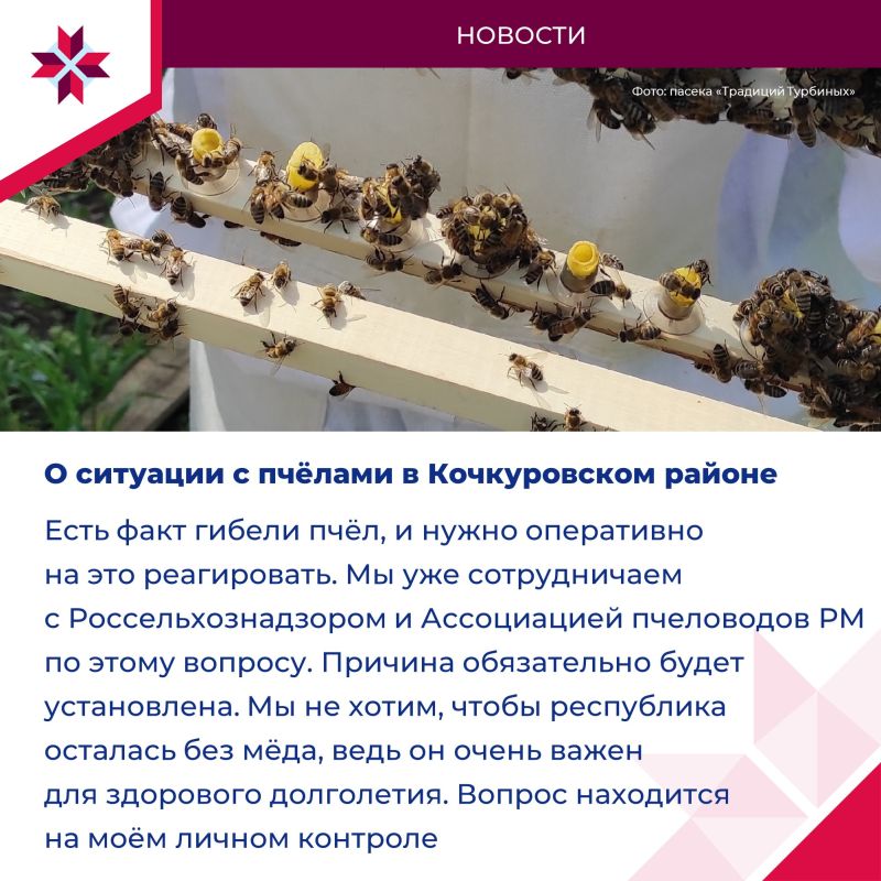 Министр сельского хозяйства и продовольствия РМ пообщался с гражданами в прямом эфире Министр сельского хозяйства и продовольствия РМ пообщался с гражданами в прямом эфире