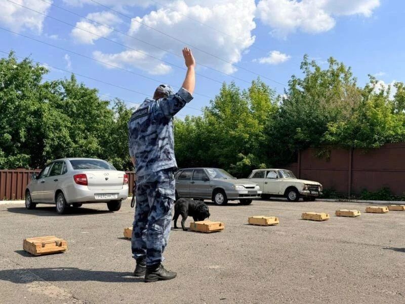 В Саранске семьи участников СВО побывали на необычной экскурсии – в Центре кинологической службы МВД по Республике Мордовия В Саранске семьи участников СВО побывали на необычной экскурсии – в Центре кинологической службы МВД по Республике Мордовия