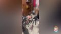 � �������� ������ ���������� ������ ������� �� ������������, �������� ���������� ������� � ������������ ����������� � �������������� ������