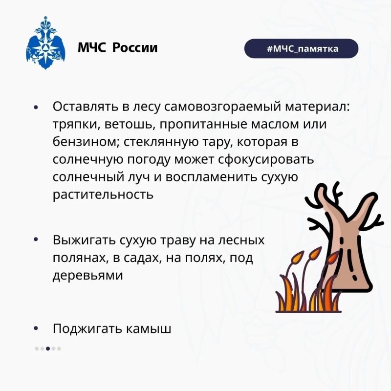 На территории Республики Мордовия сохраняется высокая пожарная опасность в лесах На территории Республики Мордовия сохраняется высокая пожарная опасность в лесах