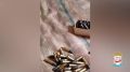 ������ ������������� ������ ������������� � ���������� �������� ���������������� �����, �������������� �������� � ����� 120 ��������