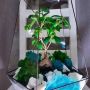 Флорариумы на любой вкус: от недорогих до статусных
