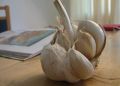 Секреты успешного урожая чеснока: простые удобрения для крупных головок
