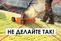 Почему мульчирование газона может навредить здоровью травы