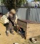 В Зубово-Полянском районе завершено расследование уголовного дела по фактам жестокого обращения с животным, угрозы убийством и угрозы применения насилия в отношении представителей власти