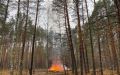 С 6 по 11 сентября местами по Мордовии ожидается высокая пожарная опасность лесов 4 класса горимости