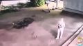 � �������� ������� ���������� ������������� � ����� 60 ����� ������ �� ��������� ����������� �����