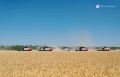В Мордовии намолотили более 1 млн тонн зерна