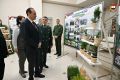 Мордовия сохраняет и восстанавливает леса