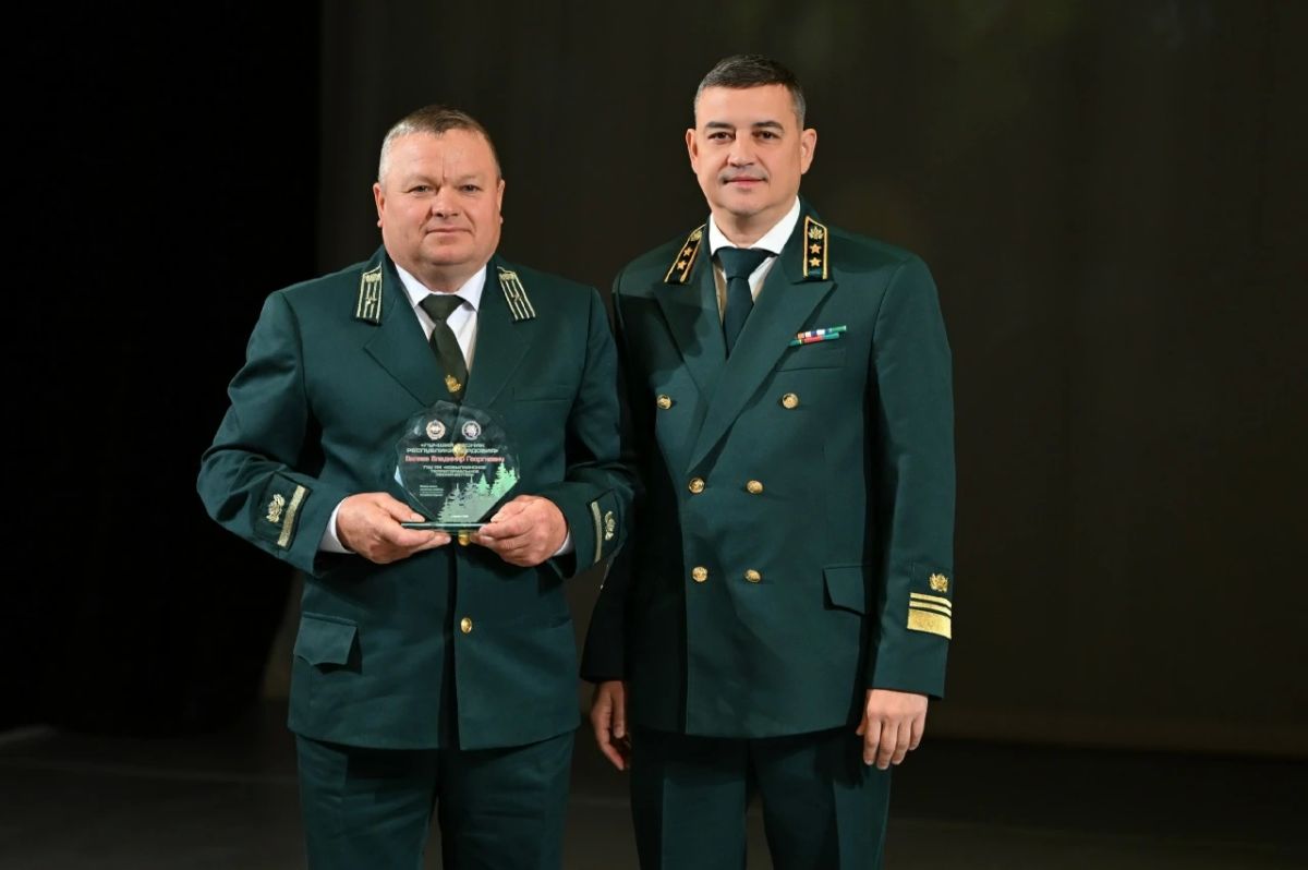 В Мордовии восстановят 1600 гектаров леса В Мордовии восстановят 1600 гектаров леса