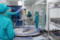 Артём Здунов: Продемонстрировали РСПП агропромышленную мощь Мордовии