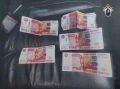 В Саранске иностранный гражданин признан виновным в покушении на дачу взятки сотруднику миграционной службы