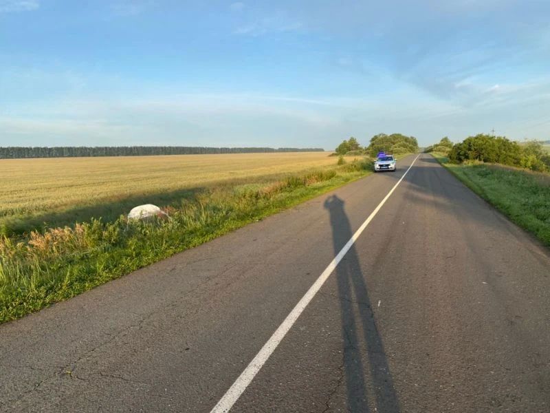 В Рузаевке осужден водитель из Чувашии, признанный виновным в нарушении ПДД, повлекшем причинение тяжкого вреда здоровью человека, совершенном в состоянии опьянения В Рузаевке осужден водитель из Чувашии, признанный виновным в нарушении ПДД, повлекшем причинение тяжкого вреда здоровью человека, совершенном в состоянии опьянения