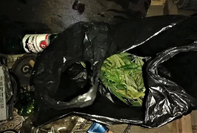 В Краснослободском районе несовершеннолетний студент колледжа хранил на чердаке бани марихуану В Краснослободском районе несовершеннолетний студент колледжа хранил на чердаке бани марихуану