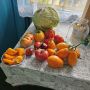 Яркого дня, друзья! Ловите каждый день этого солнечного сентября