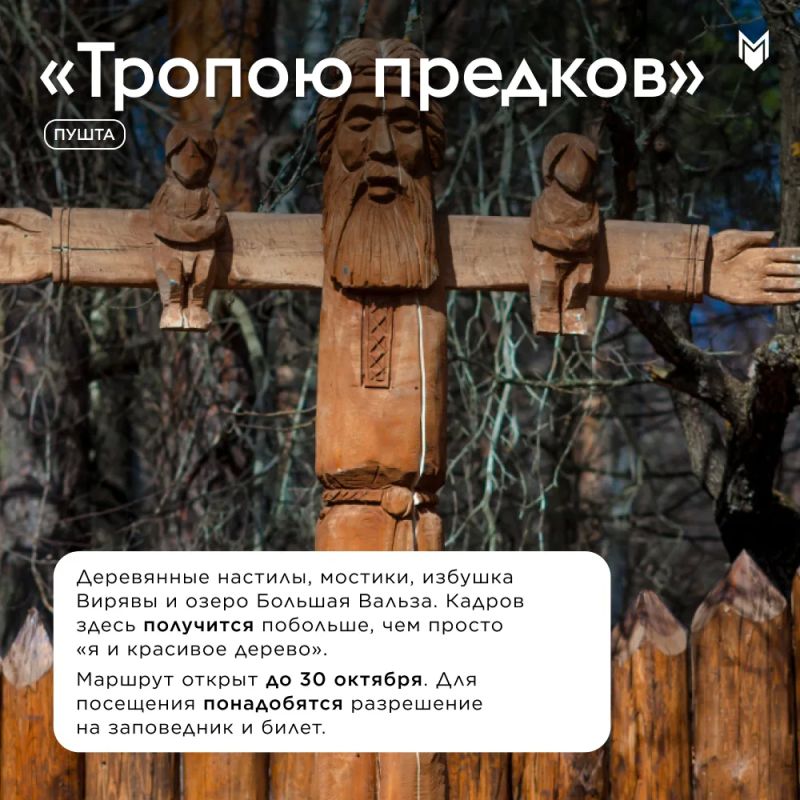 Для всех, кому на выходных не сидится дома под пледом: собрали несколько мест, куда можно выбраться за кадрами, прогулкой и небольшим приключением Для всех, кому на выходных не сидится дома под пледом: собрали несколько мест, куда можно выбраться за кадрами, прогулкой и небольшим приключением