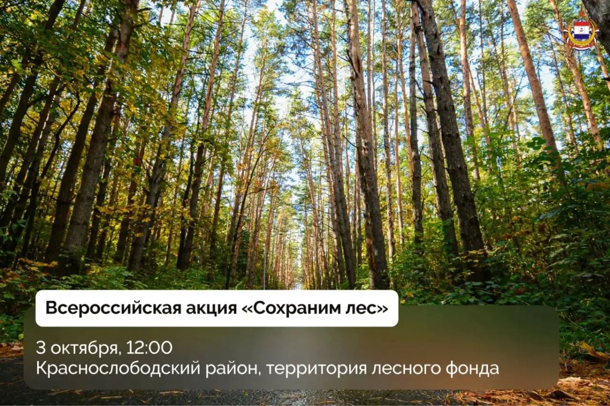 4000 сосен высадят в Мордовии