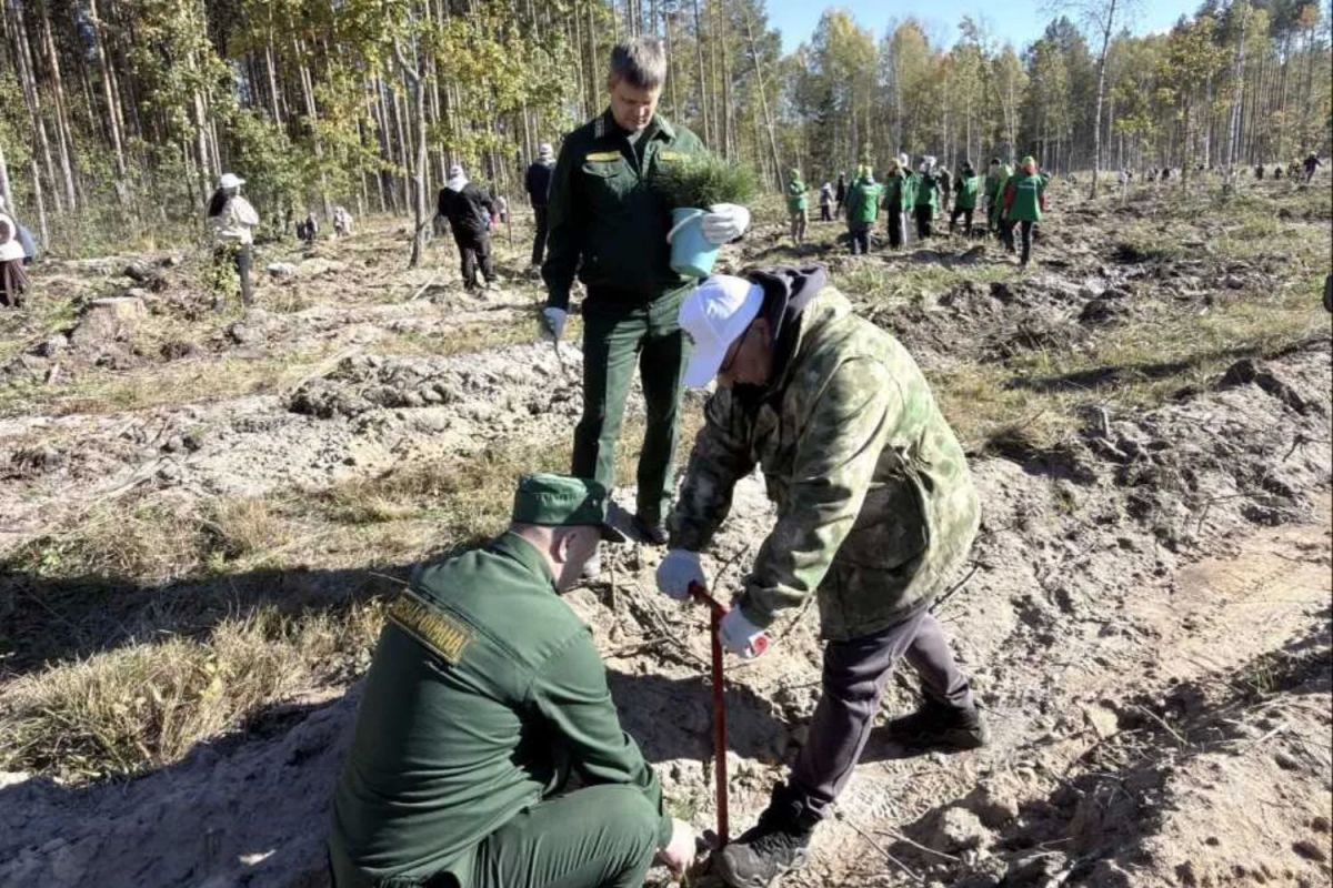 Депутаты Госсобрания Мордовии поддержали своим участием акцию «Сохраним лес»