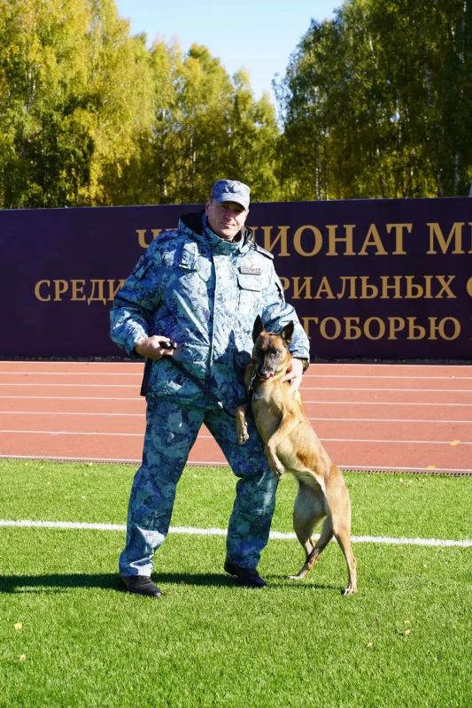 В Казани завершился Чемпионат МВД России по многоборью кинологов В Казани завершился Чемпионат МВД России по многоборью кинологов