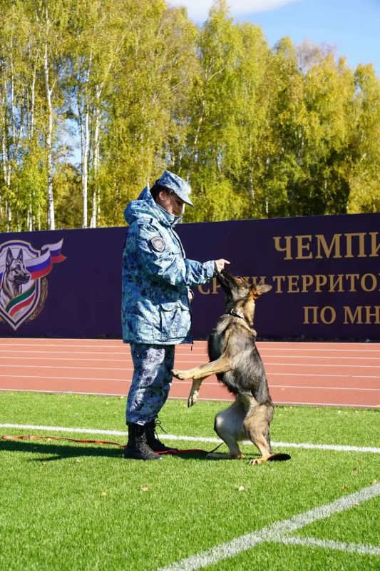 В Казани завершился Чемпионат МВД России по многоборью кинологов В Казани завершился Чемпионат МВД России по многоборью кинологов