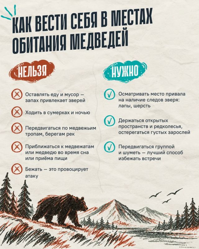 Что делать, если встретили медведя? Что делать, если встретили медведя?
