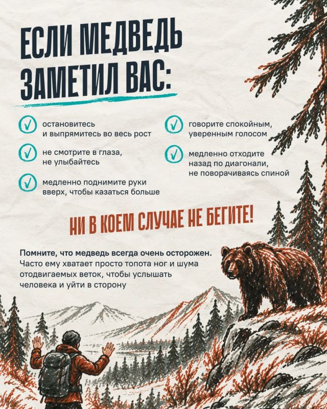 Что делать, если встретили медведя? Что делать, если встретили медведя?