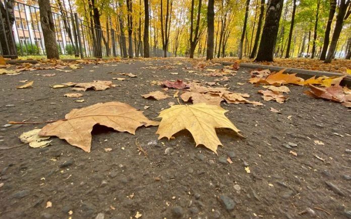 В Мордовии продолжается золотая осень