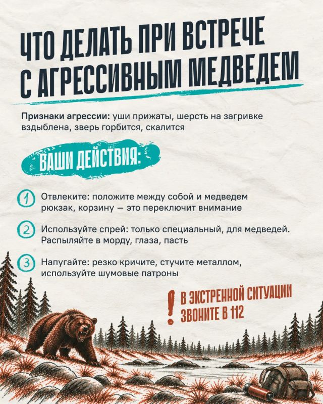 Что делать, если встретили медведя? Что делать, если встретили медведя?