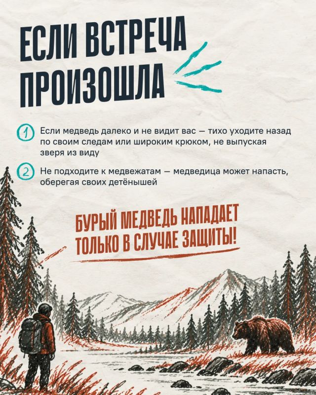 Что делать, если встретили медведя? Что делать, если встретили медведя?