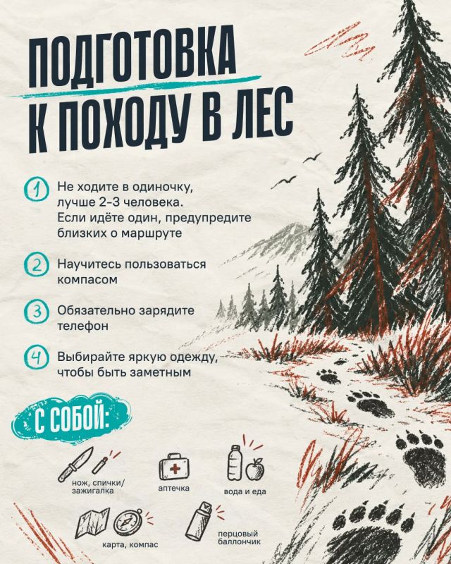 Что делать, если встретили медведя? Что делать, если встретили медведя?