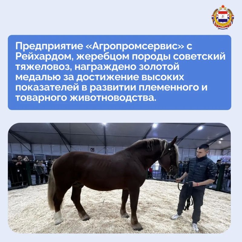 Сегодня на площадке Республики Мордовия прошёл прямой эфир с министром сельского хозяйства и продовольствия Мордовии Виталием Платоновым Сегодня на площадке Республики Мордовия прошёл прямой эфир с министром сельского хозяйства и продовольствия Мордовии Виталием Платоновым