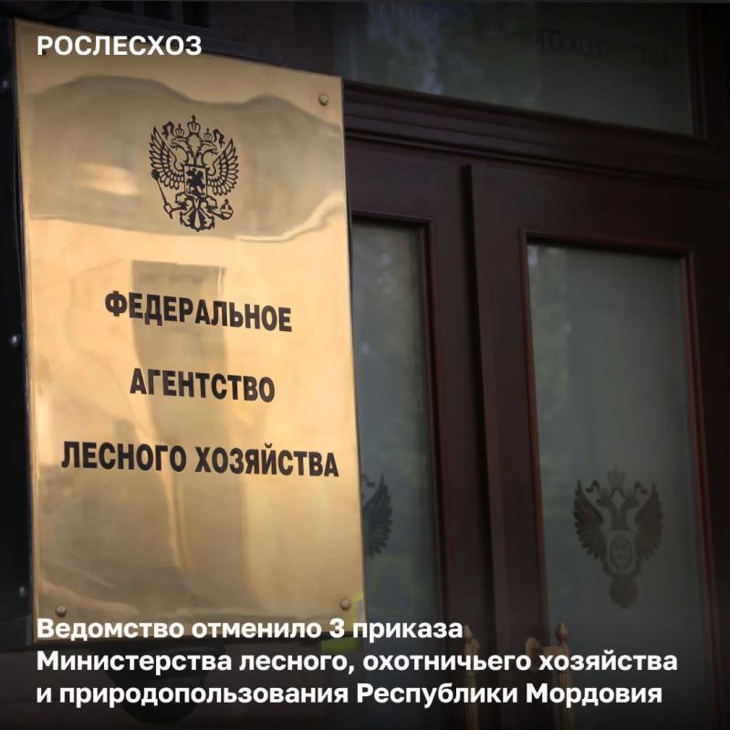 Министерство лесного, охотничьего хозяйства и природопользования Республики Мордовия издало приказы, в которых лесные участки были образованы с нарушением