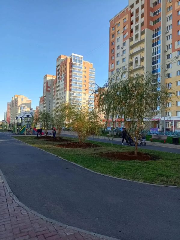 В Саранске продолжается осенняя кампания по озеленению В Саранске продолжается осенняя кампания по озеленению