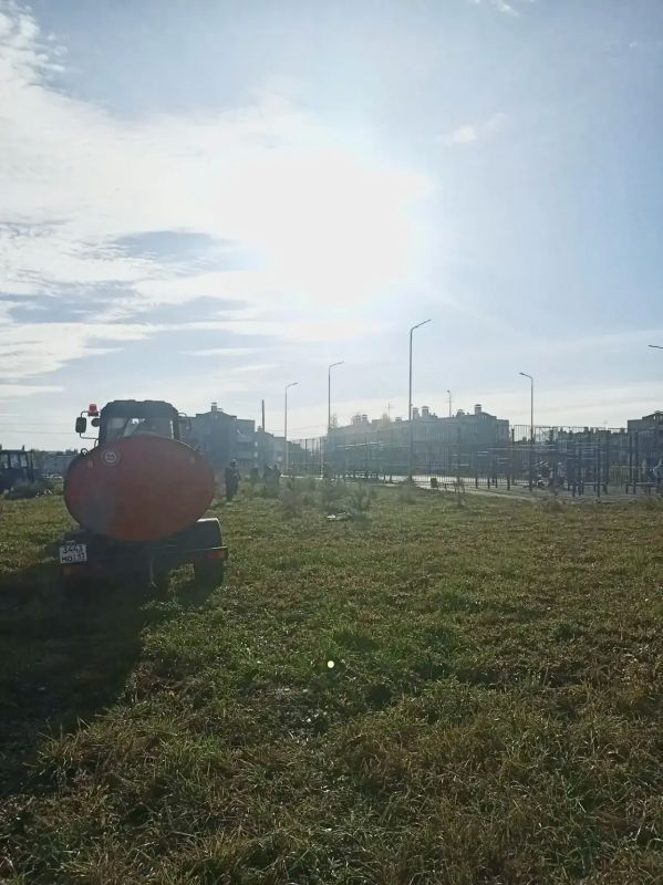 В Саранске продолжается осенняя кампания по озеленению