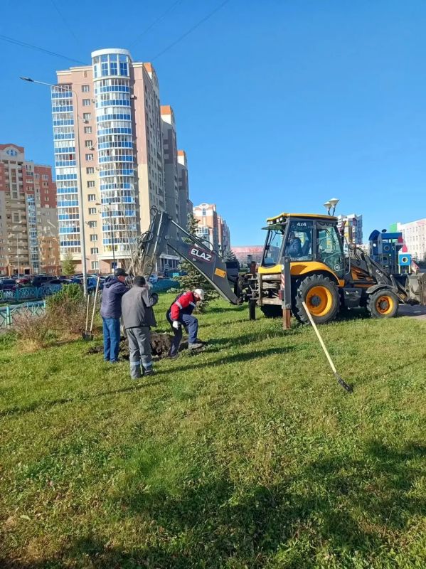 В Саранске продолжается осенняя кампания по озеленению В Саранске продолжается осенняя кампания по озеленению