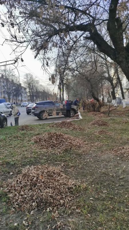 В Саранске на улице Васенко прошёл осенний субботник В Саранске на улице Васенко прошёл осенний субботник