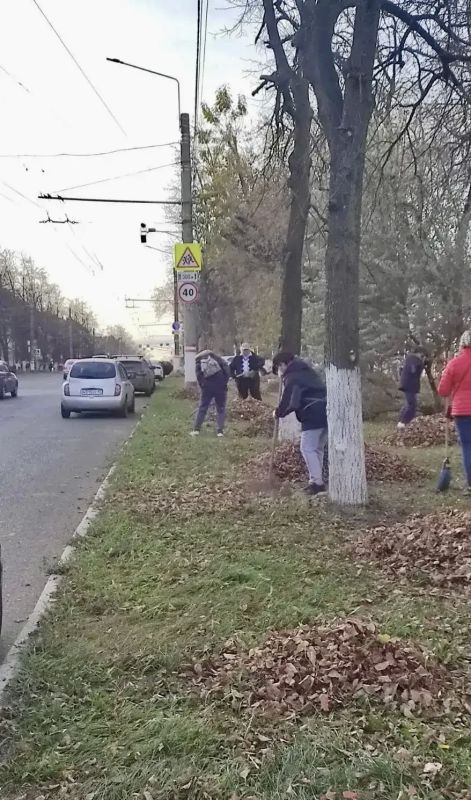 В Саранске на улице Васенко прошёл осенний субботник В Саранске на улице Васенко прошёл осенний субботник