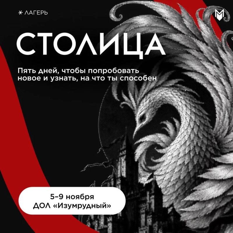 Пять дней, чтобы попробовать новое и узнать, на что вы способны