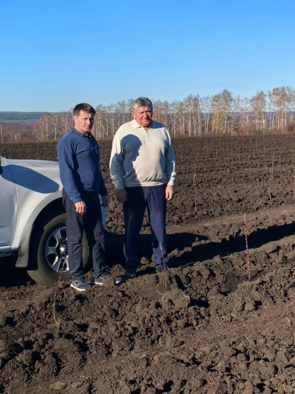 Уборка урожая, новая сушилка и закладка яблоневого сада Уборка урожая, новая сушилка и закладка яблоневого сада