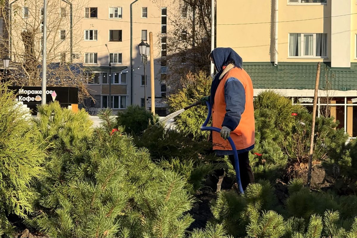 Продолжаем озеленять городские пространства Продолжаем озеленять городские пространства