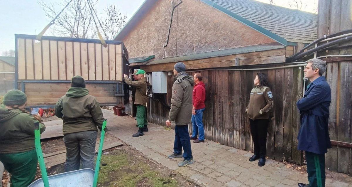 Краснокнижный зубр и три красных волка переданы из нижегородского зоопарка в ивановский по разрешению Росприроднадзора Краснокнижный зубр и три красных волка переданы из нижегородского зоопарка в ивановский по разрешению Росприроднадзора