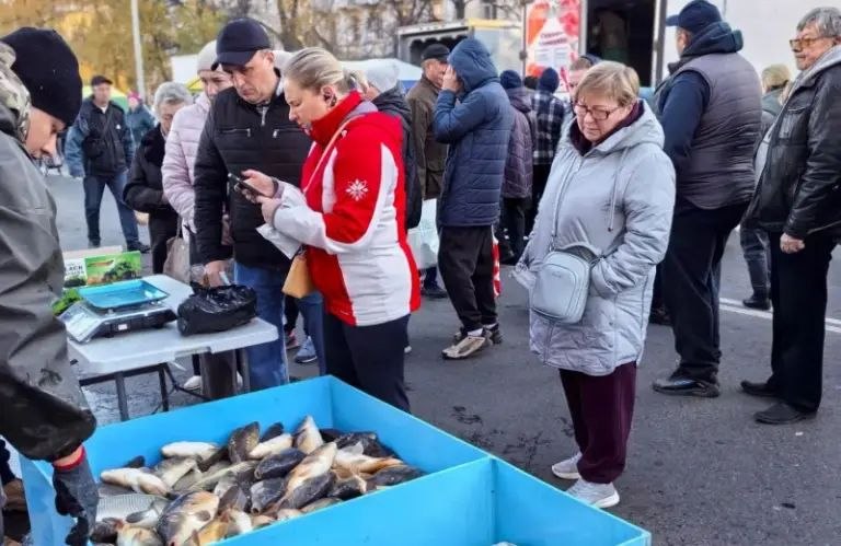 Доброй традицией стало в Саранске проведение ставших одной из важных мер социальной поддержки населения продовольственных ярмарок