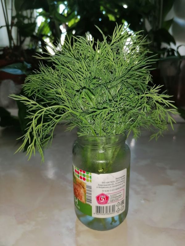 Советы по хранению продуктов: как сохранить их свежесть и избежать потерь