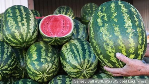 Правда об арбузах: выбираем сладкий плод без мифов