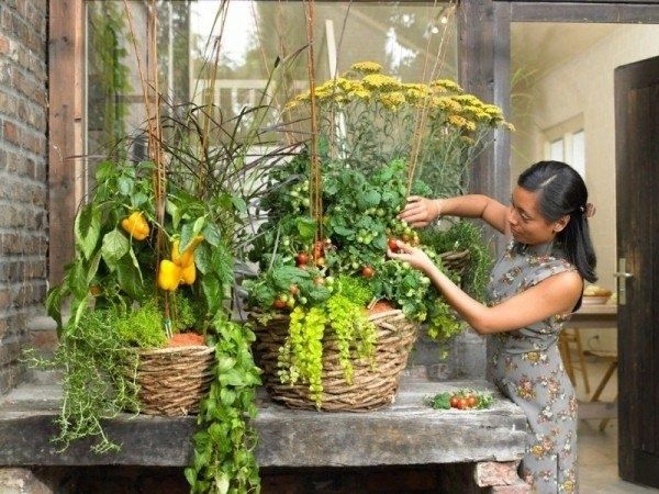 Как создать уютный огород на балконе
