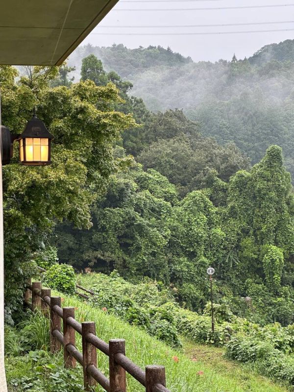 Неповторимый вечер в лесном раю