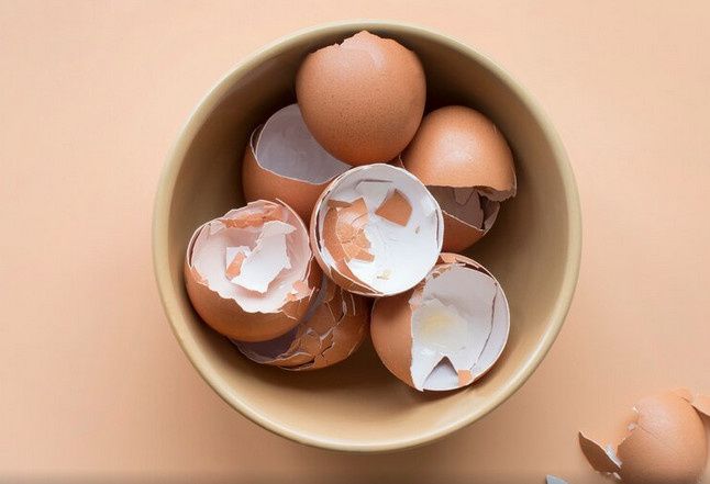Как яичная скорлупа может стать вашим домашним помощником: 10 удивительных способов
