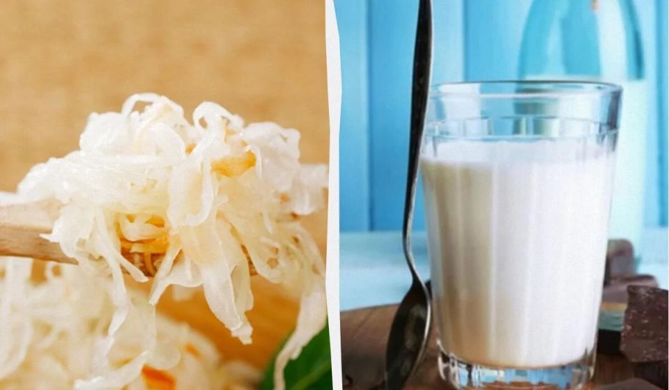 Пробиотики в ваших любимых продуктам: неожиданные источники здоровья