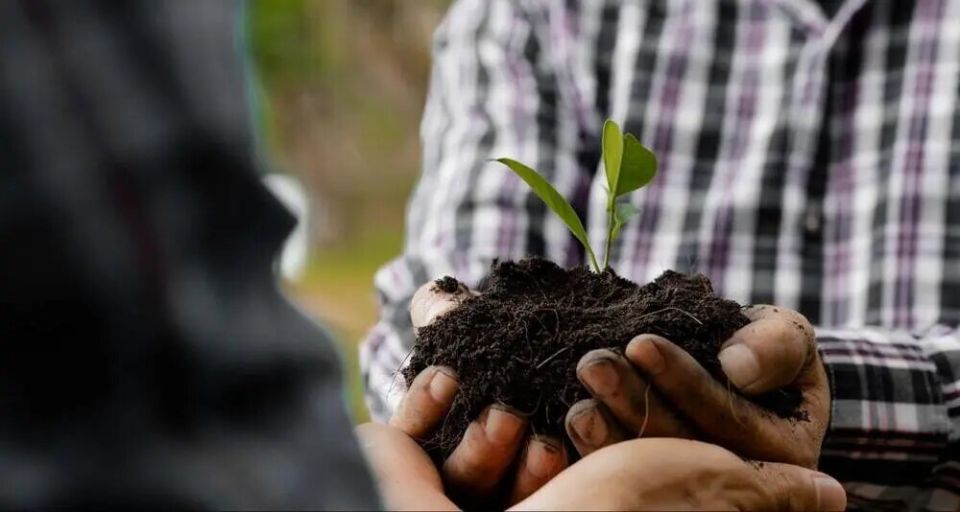 Что сажать в мае: выбираем лучшие культуры