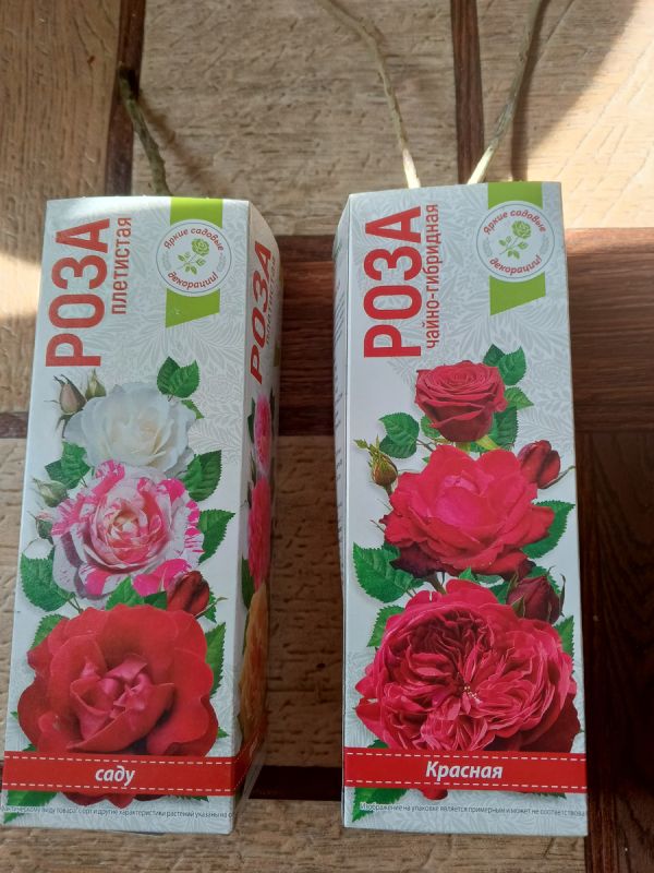 Как стильная покупка в «Светофоре» обошлась всего в 160 рублей и стала настоящим открытием